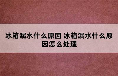 冰箱漏水什么原因 冰箱漏水什么原因怎么处理